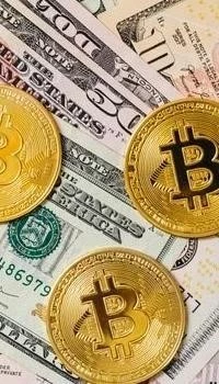 Custom Crypto Bot Download Services