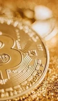 Exploring Free Crypto Bot Downloads